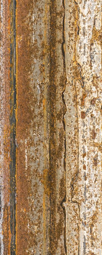 Фиброцементные панели Panda Коррозия 02520F купить в Челябинске