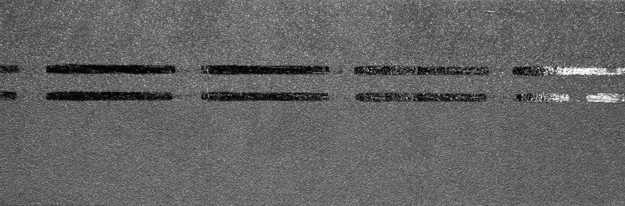 Коньково-карнизная черепица Docke, Premium, Черника купить в Челябинске